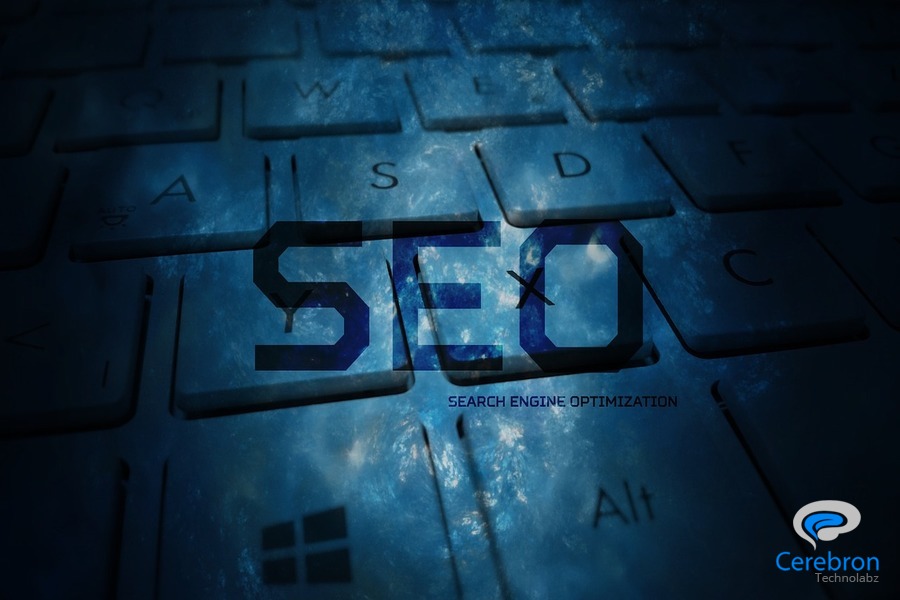 professional SEO Services in Kasaragod