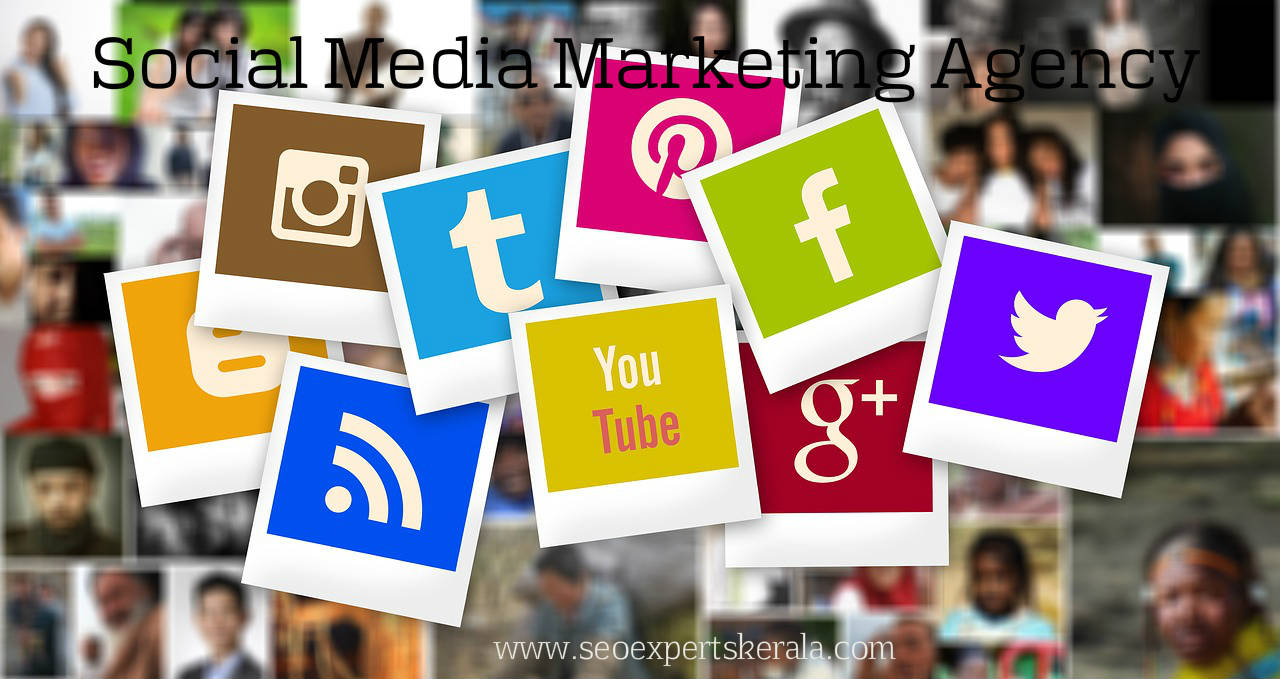 Best seo company in Tamilnadu