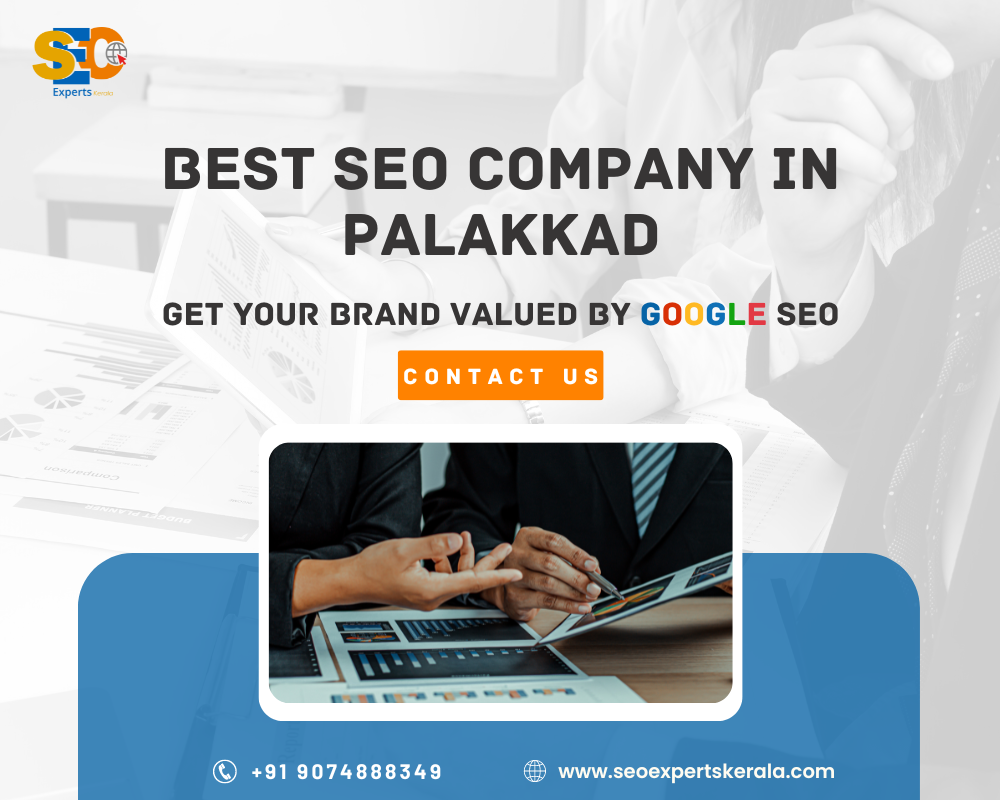 professional SEO Services in Palakkad