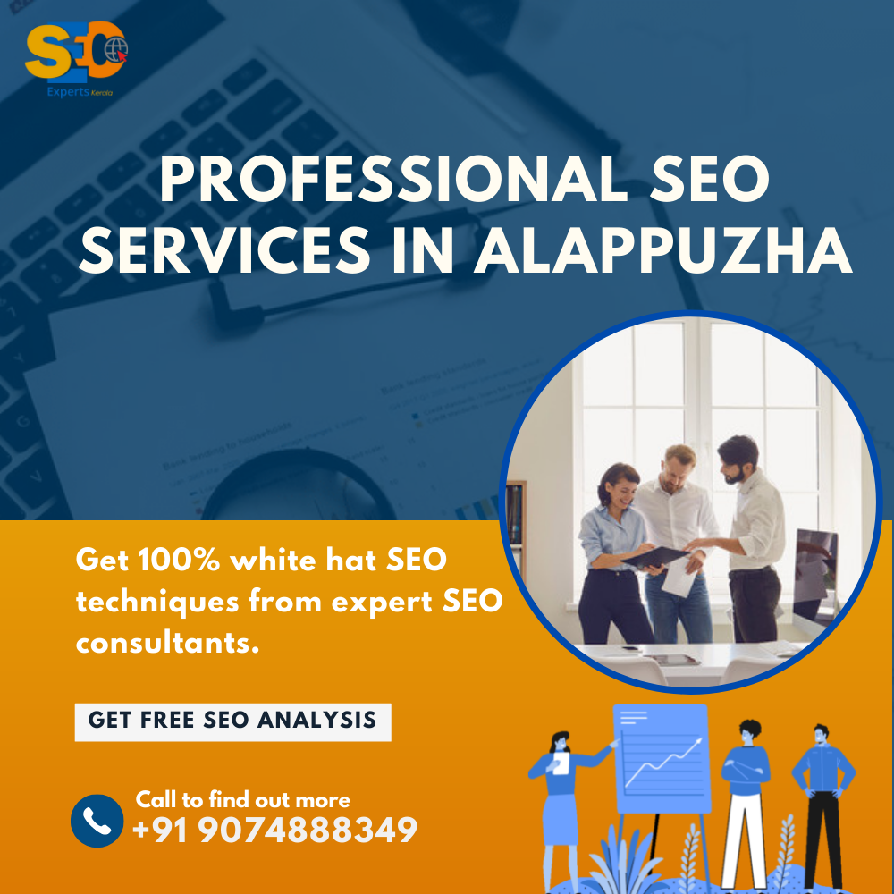 SEO Company Alapuzha