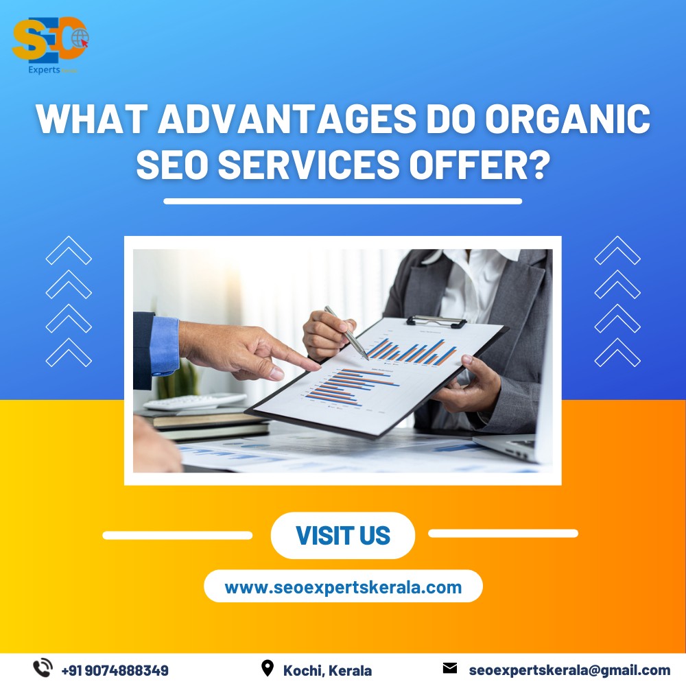 professional SEO Services in Malappuram